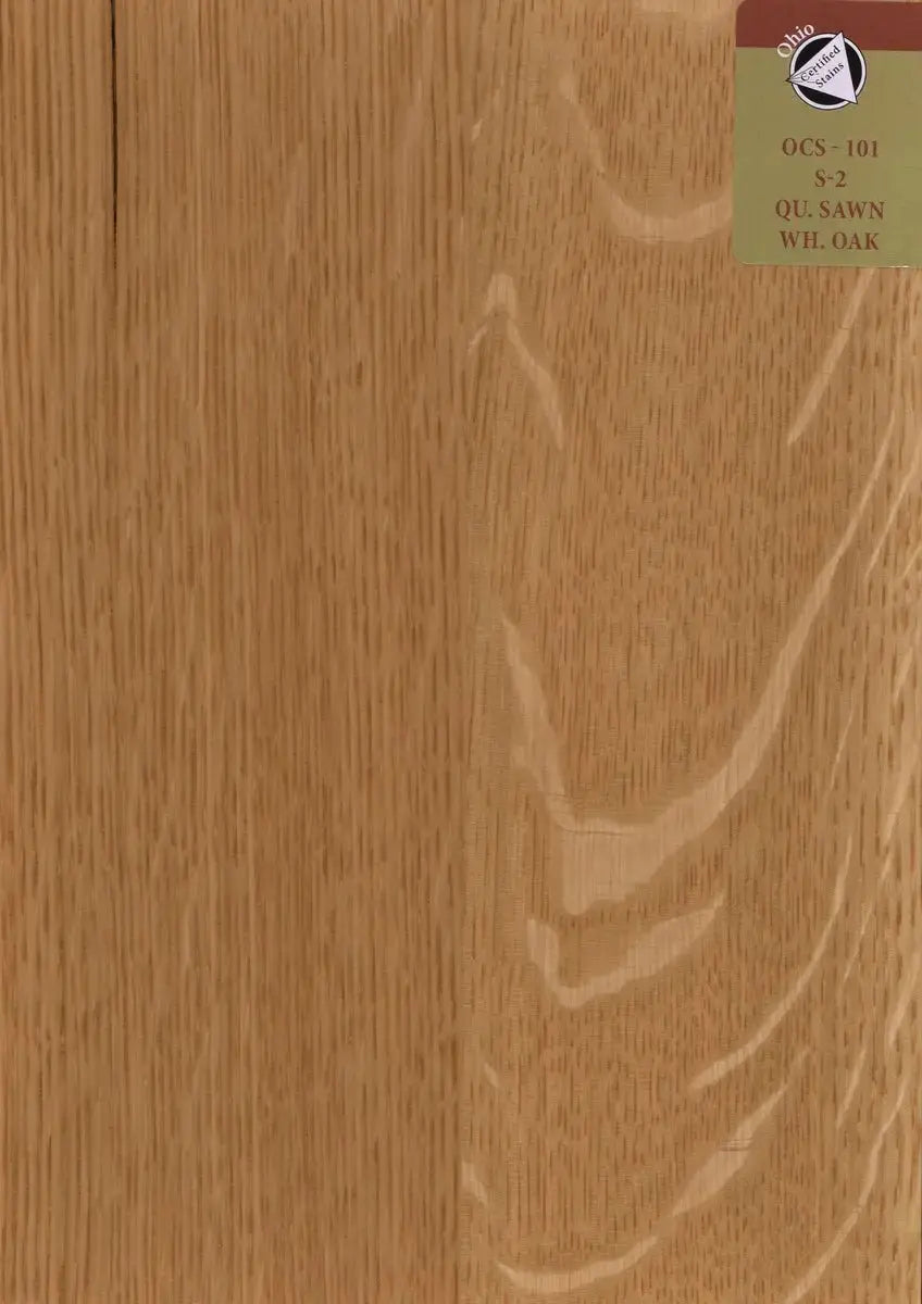 The Fern - Modern Dining Chair Moderncre8ve