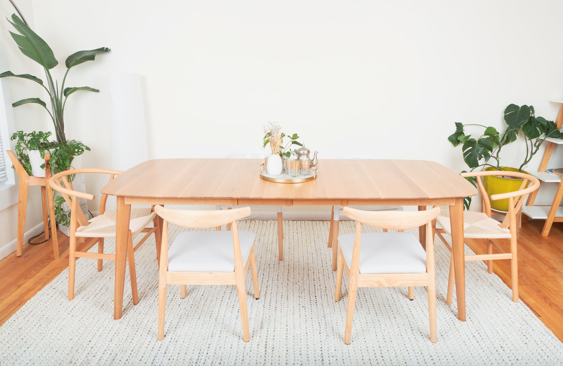 Mid-Century Modern Dining Chair inspired by the Ox Chair, crafted in solid parawood with ergonomic curved backrest, set around a dining table with plants.