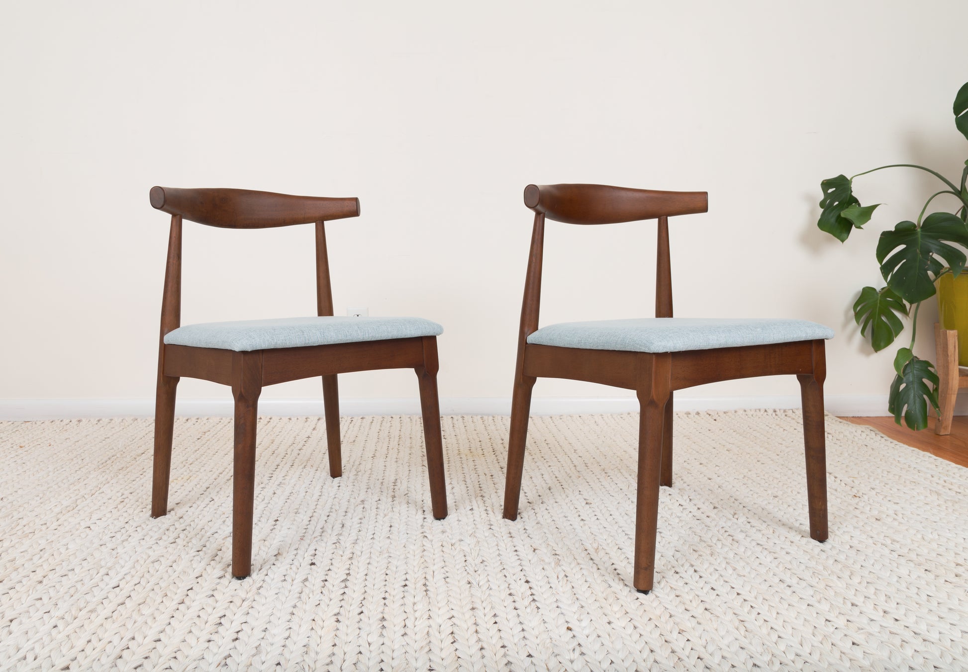 Mid-Century Modern Dining Chair set on a rug, featuring Ox Chair-inspired curved backrests, crafted from parawood for a stylish, ergonomic dining experience.