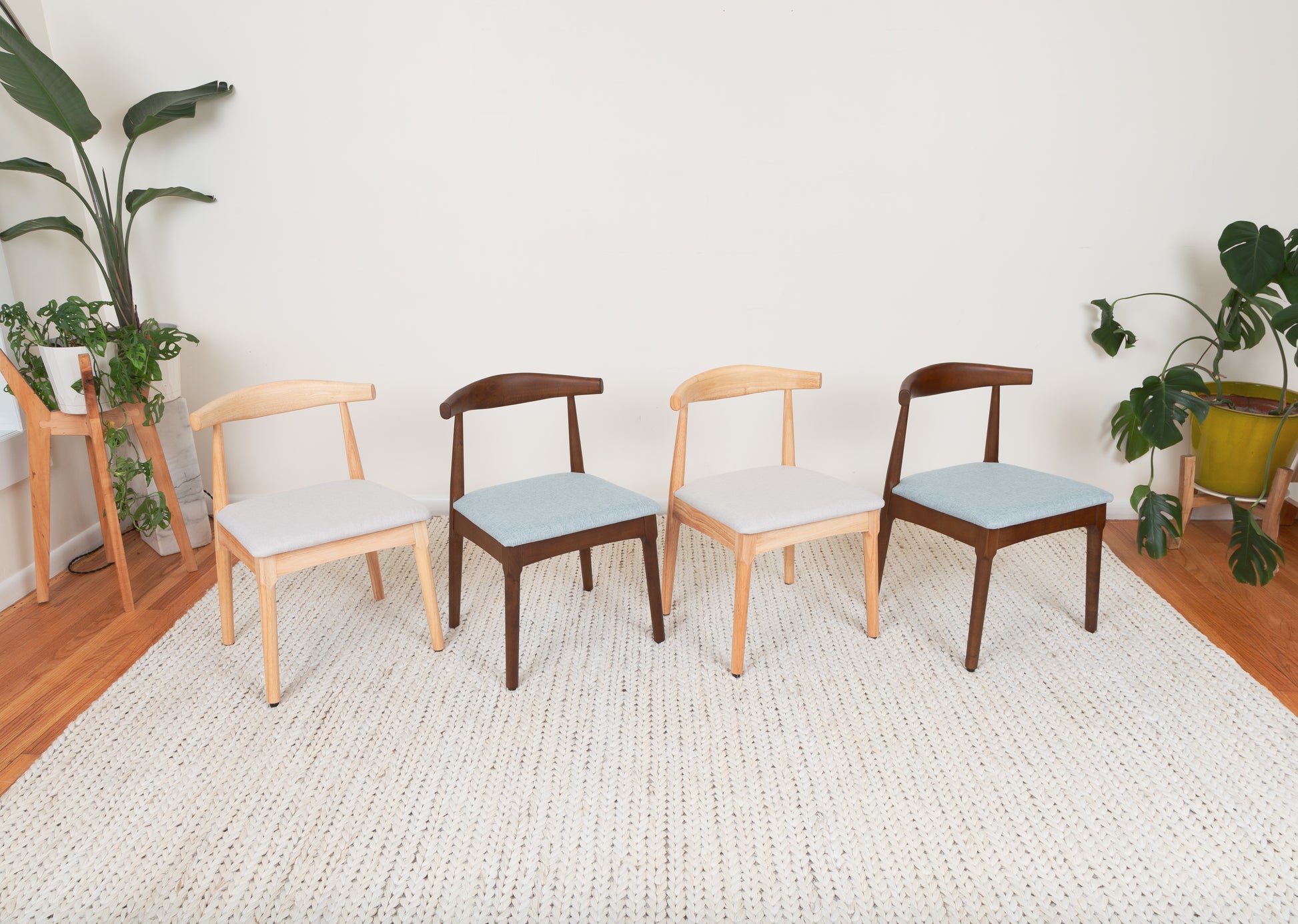 Mid-Century Modern Dining Chair with Ox Chair-inspired curved backrest, parawood construction, and ergonomic design, positioned on a rug in a stylish room.