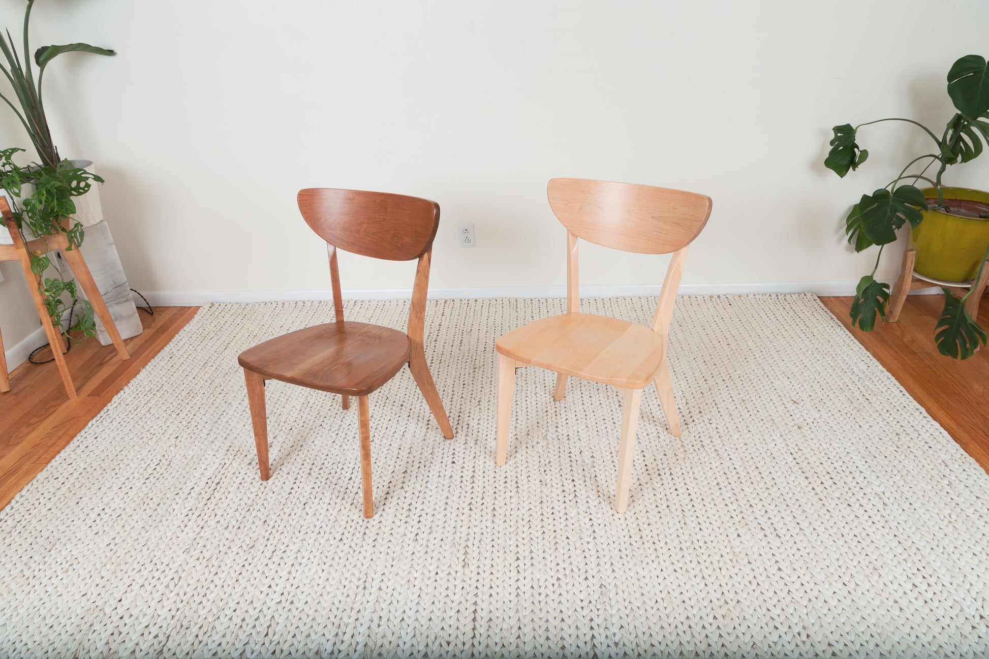 The Seymour - Modern Dining Chair on a rug, showcasing its sleek wooden design and ergonomic build, adjacent to a potted plant.