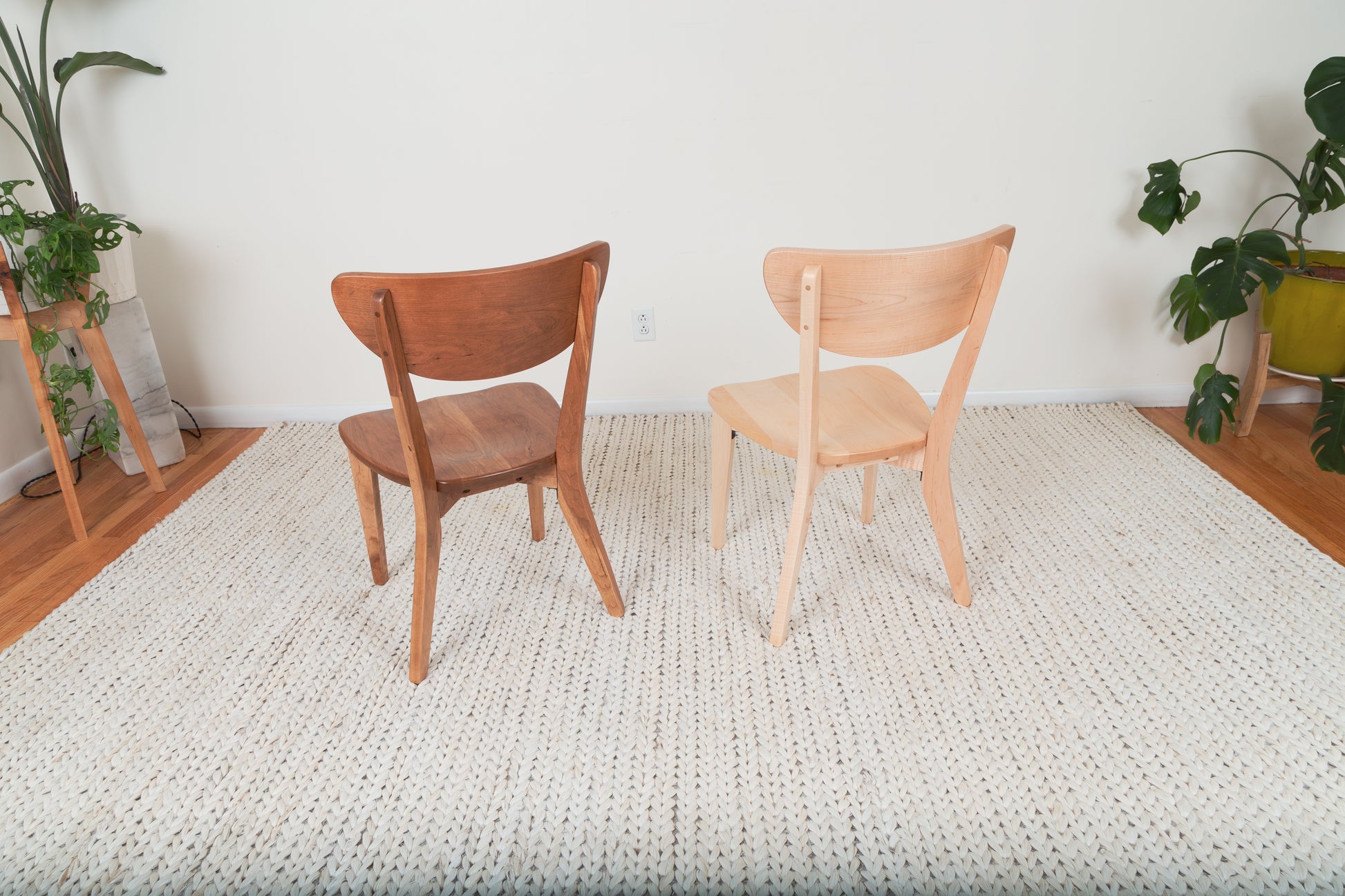 The Seymour - Modern Dining Chair on a rug beside a potted plant, showcasing its sleek, handcrafted wooden design for elegant, contemporary dining settings.